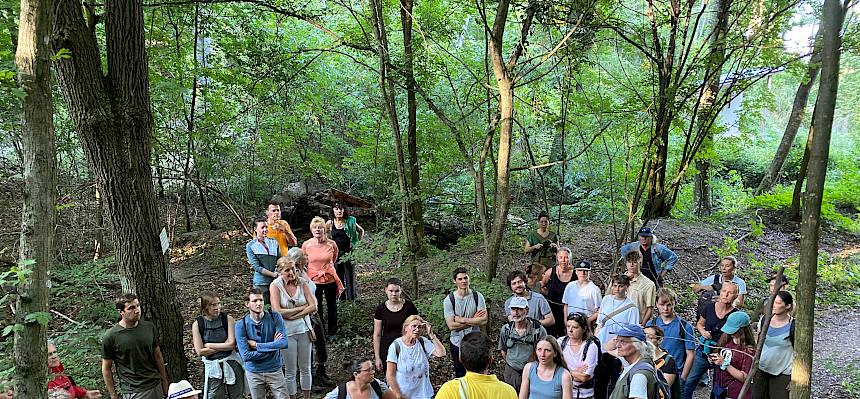 Naturreservat Kardinalgraben