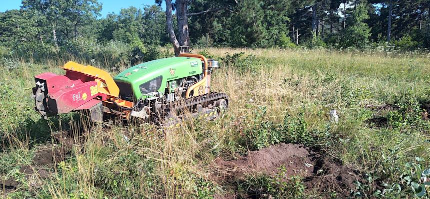 Stockfräse mit Fräselöchern