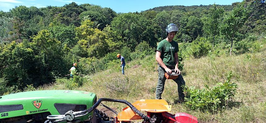 Mann mit Stockfräse im Trockenrasen