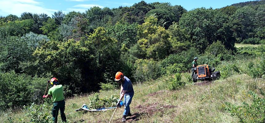 zwei Männer mit Rechen im Trockenrasen
