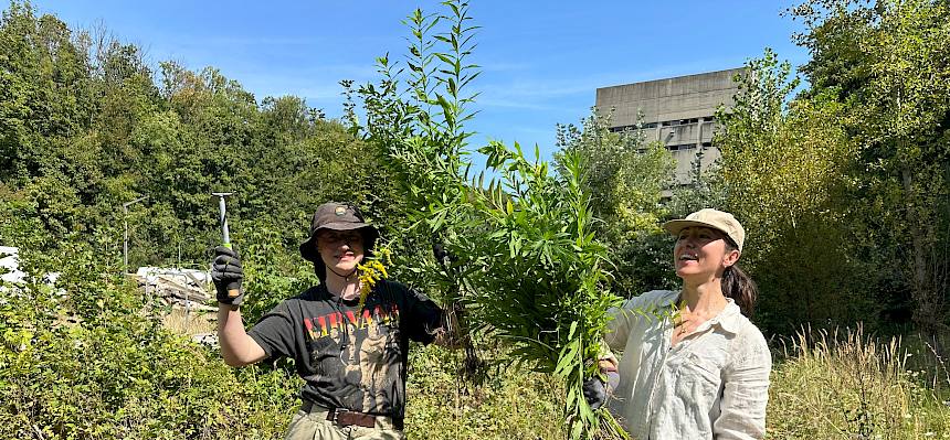 Menschen mit ausgerissenen Goldruten