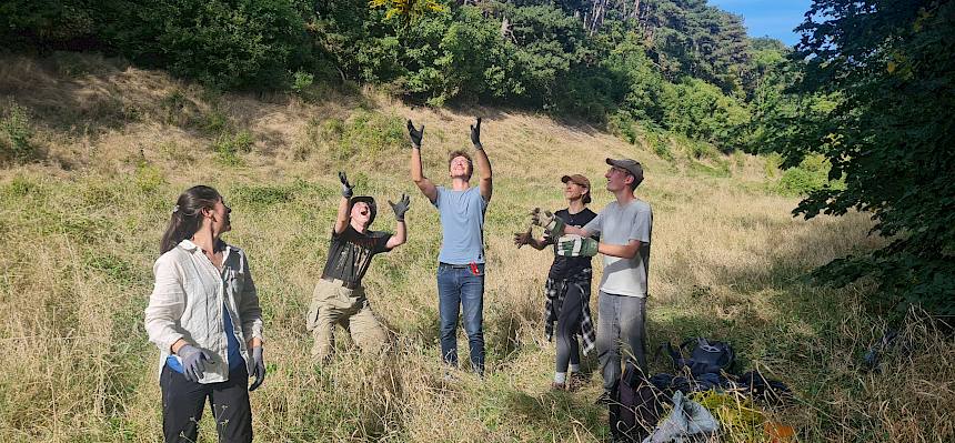 Goldrutenstrauß wird gefangen