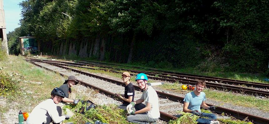 Praktikant:innen bei der Arbeit