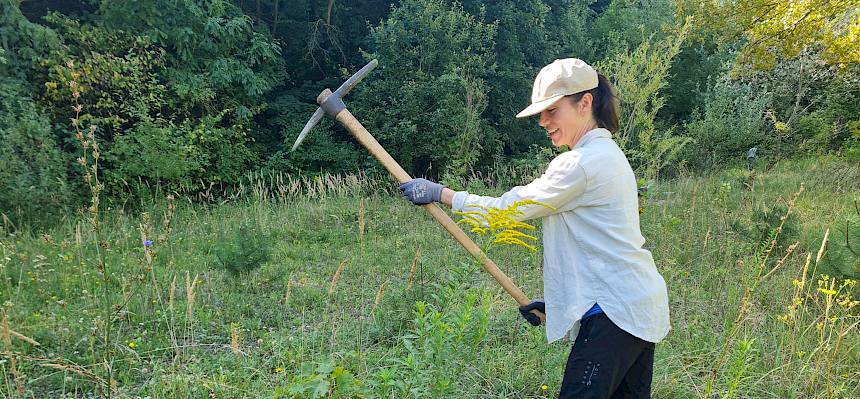 Aushacken von Goldruten