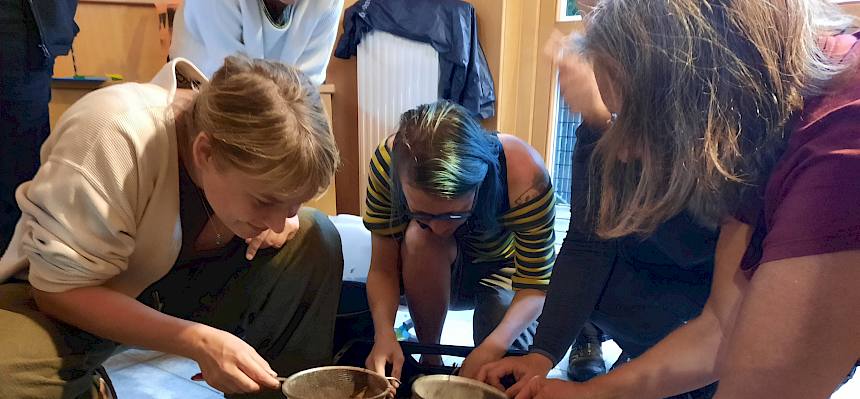 Personen suchen Bodenlebewesen in Waldbodenerde