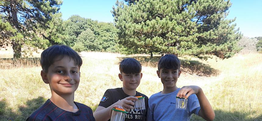 Kinder mit Becherlupe