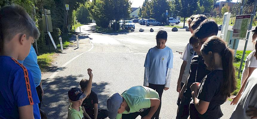 Kinder ordnen Gegenstände zu