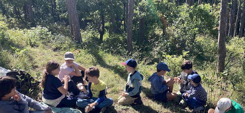 Kinder sitzen zusammen und beobachten Insekten