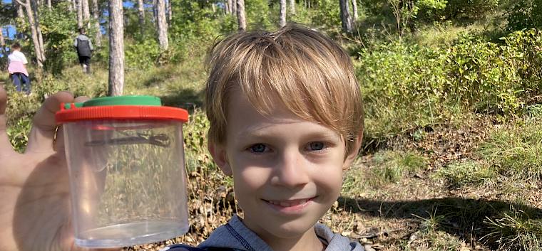 Das Highlight der heutigen Trockenrasenführung war die Insektensuche mit Becherlupen. Hier wird ein besonderer Fund präsentiert: eine Gottesanbeterin (Mantis religiosa). © LPV/N. Petermair Kind mit Becherlupe