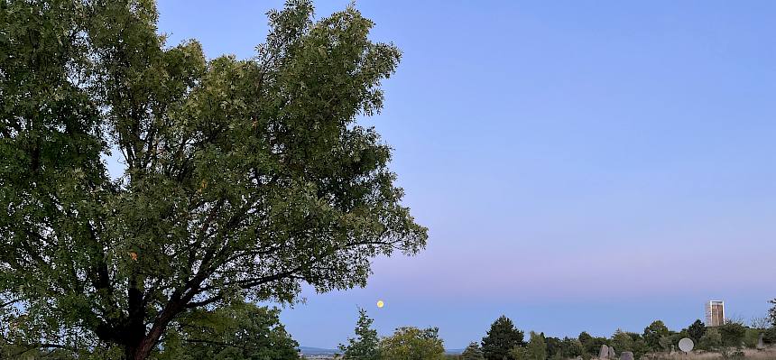 Landschaft des Symposion Lindabrunn mit Vollmond