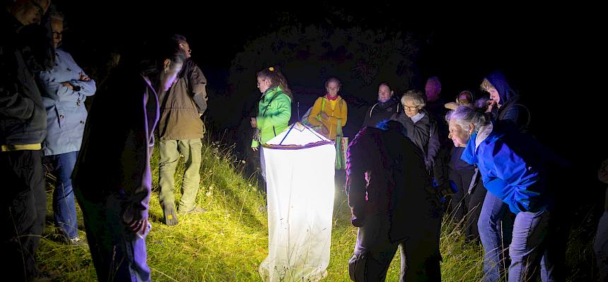 Menschen am Insektenleuchtturm