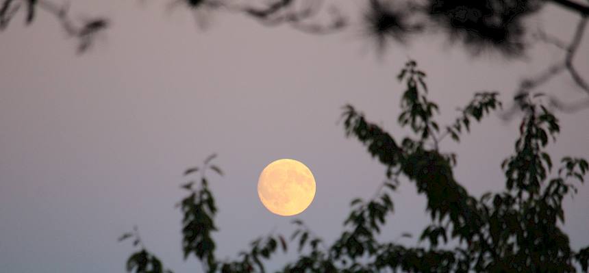 Vollmond