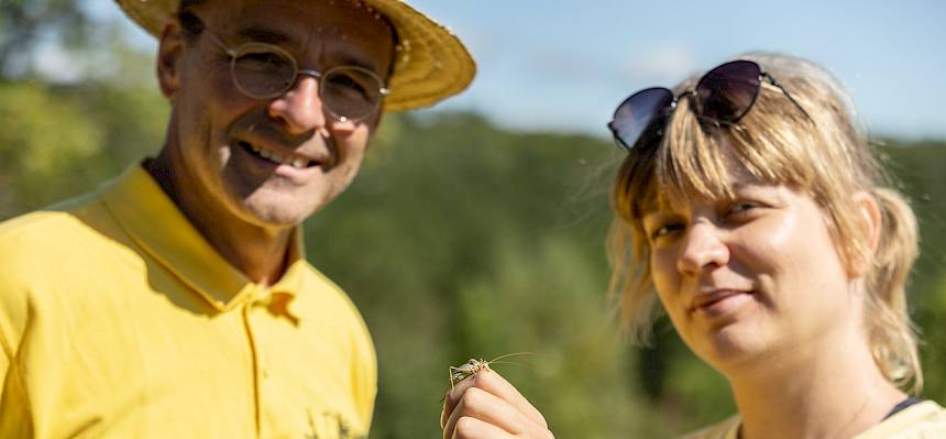 Experte und Expertin mit Steppen-Sattelschrecke