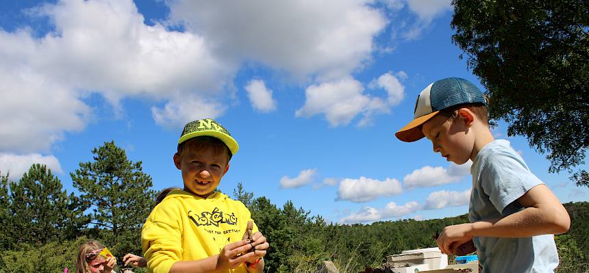 Kinder gestalten Landschaften aus Naturmaterialien