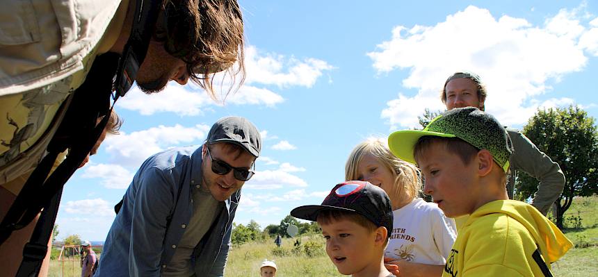 Kinder betrachten junge Eidechse
