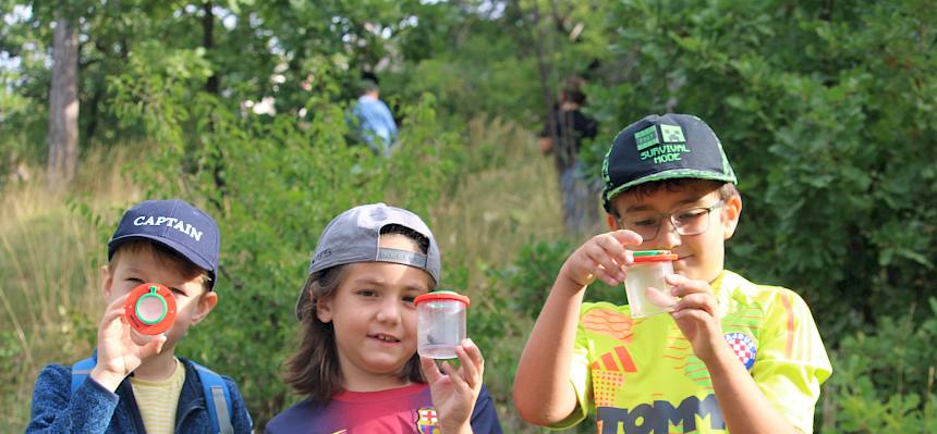 Schüler:innen mit Insekten in Becherlupen