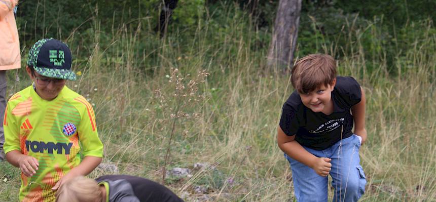 Schüler:innen suchen nach Insekten und Spinnen