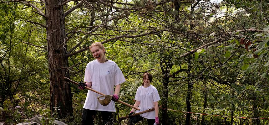 Volunteers hacken Büsche aus