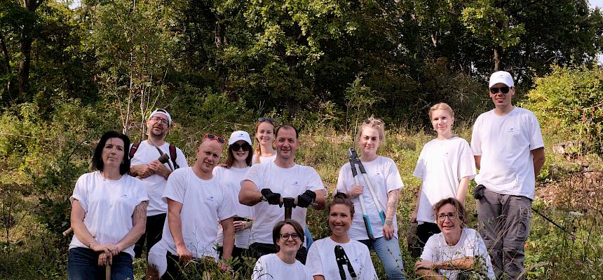 Zwölf Volunteers