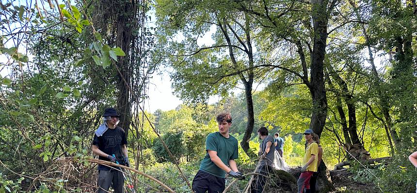 Menschen schleppen abgeschnittene Äste