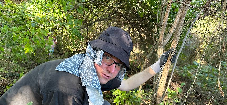 Mann mit Hut schneidet Baum