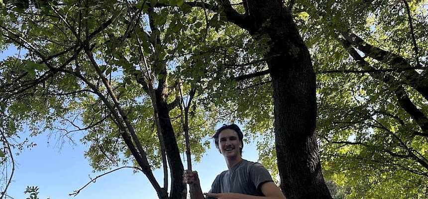 Mann mit großem Ast