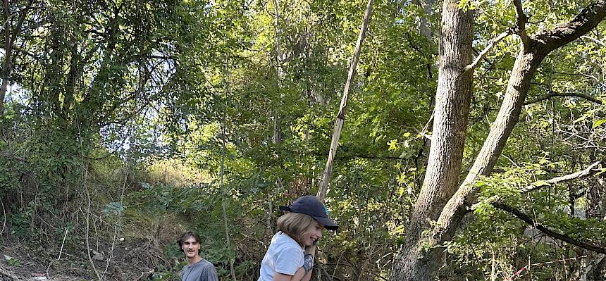 Kind schwingt auf Liane