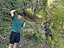 Um einen Beweidungskorridor für die Schafe zu ermöglichen, mussten auch große Sträucher entfernt werden. © LPV/E. Weisz-Emesz Männer mit abgeschnittenen Baum