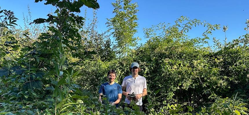 Männer hinter einem Busch