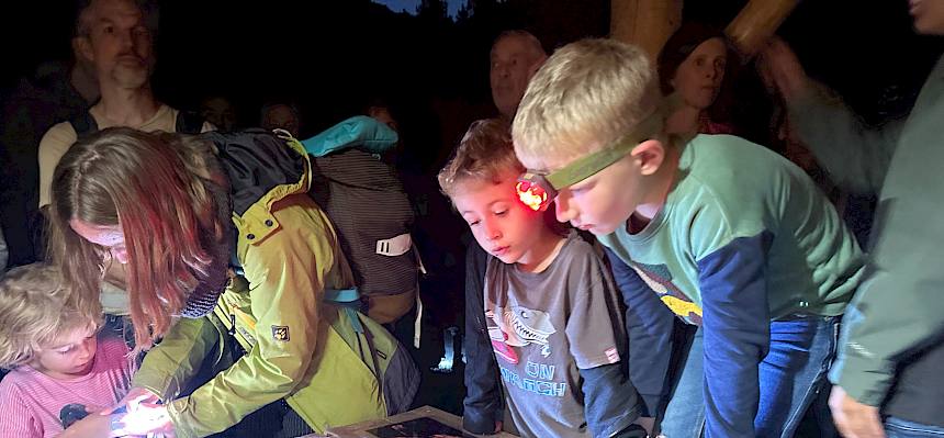 Kinder betrachten Bilder am Tisch