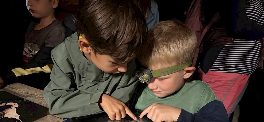 Kinder betrachten Präparate von Käfern