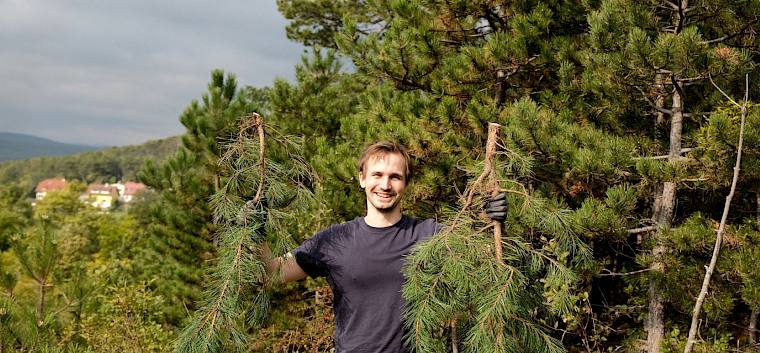 Bei der heutigen Arbeit war der Erfolg schnell sichtbar. © LPV/J. FFischer Mann mit abgeschnittenen Föhrenästen