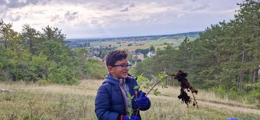 KInd hält junges Gehölz samt Wurzeln