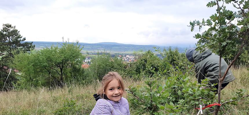Kind entfernt ein Gehölz