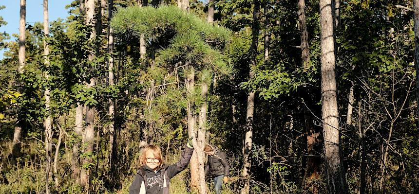 Bub mit Baum und Säge