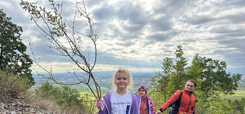 Kind hält großen Ast in die Höhe