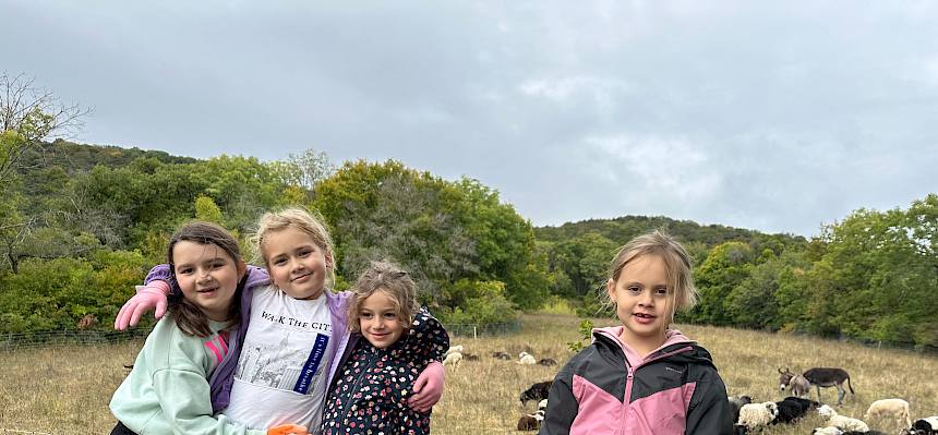 Kinder stehen vor Schafherde