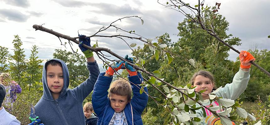 Kinder halten großen Ast in die Höhe