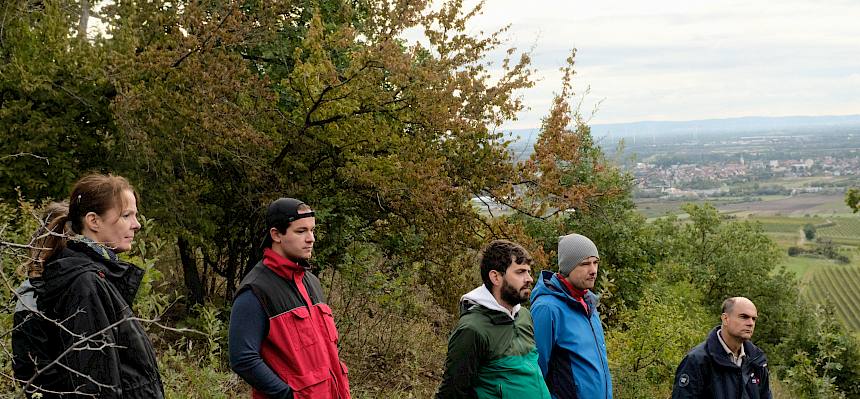 Menschen stehen in der Natur