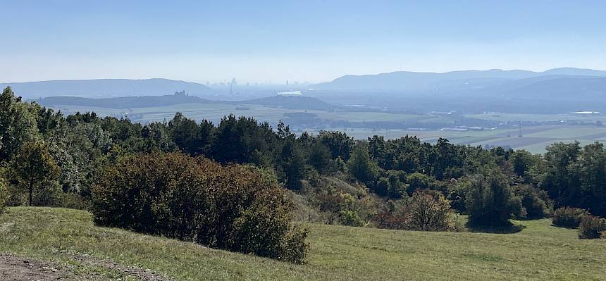 Blick vom Waschberg