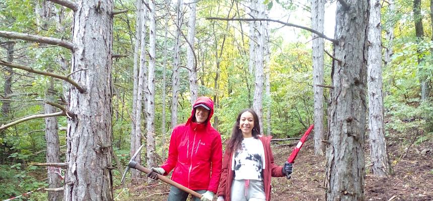 Menschen im Wald mit Werkzeug