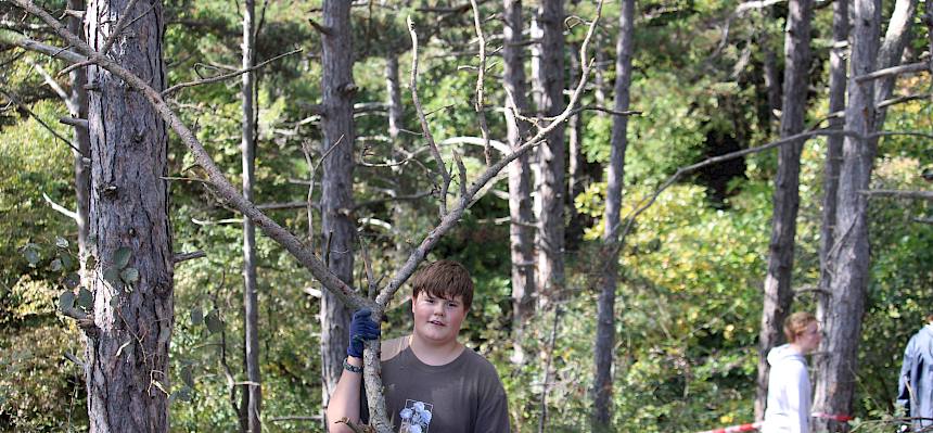 Jugendlicher mit abgesägten jungen Baum