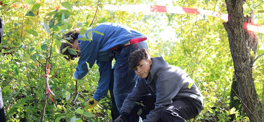 Jugendliche schneiden Gehölze
