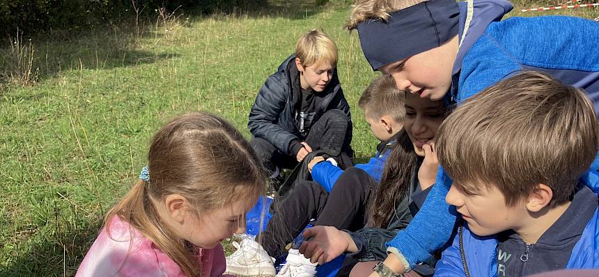 Kinder beobachten eine Gottesanbeterin