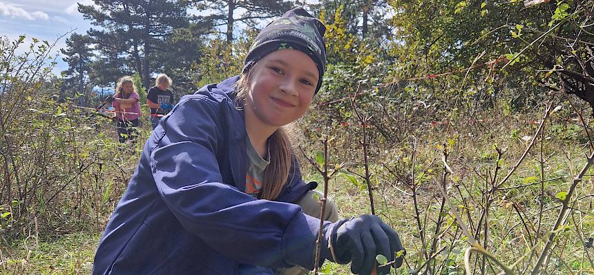 Kind schneidet Gehölze