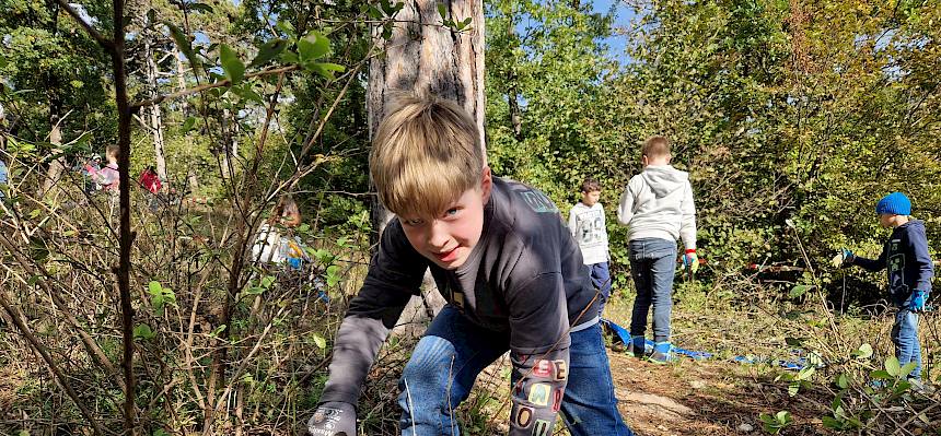 Kind schneidet Gehölze