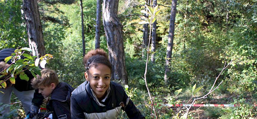Jugendliche schneidet ein Gehölz