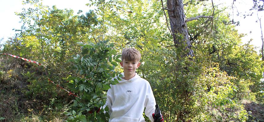 Jugendlicher mit abgeschnittenen Gehölz