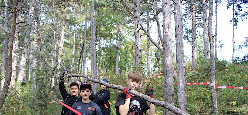 Jugentliche tragen abgesägten jungen Baum