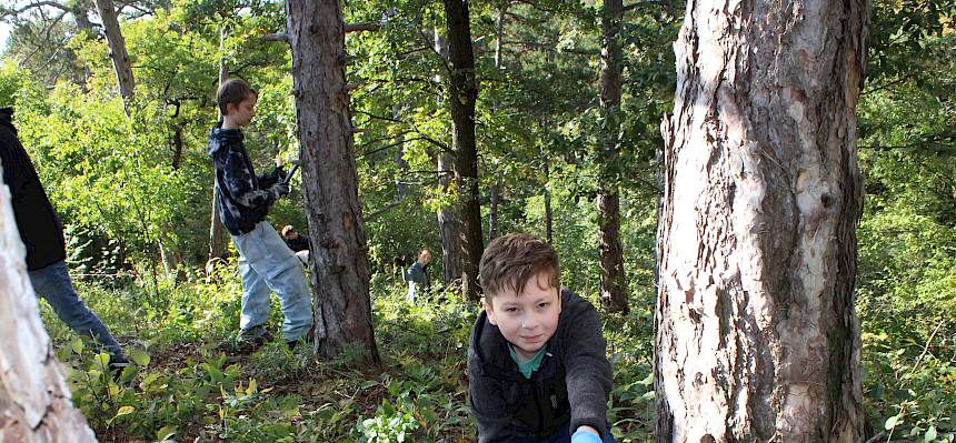 Jugendlicher sägt einen Baumstumpf